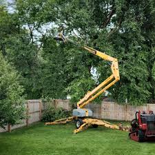 Best Lawn Drainage Solutions  in Villas, NJ
