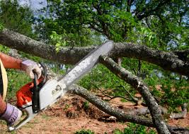 Best Soil Testing and Treatment  in Villas, NJ