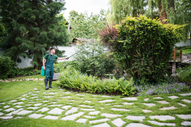 Best Seasonal Cleanup (Spring/Fall)  in Villas, NJ
