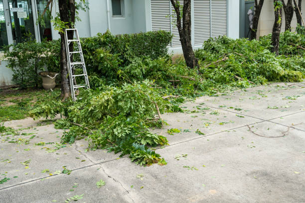 Lawn Maintenance Plans in Villas, NJ
